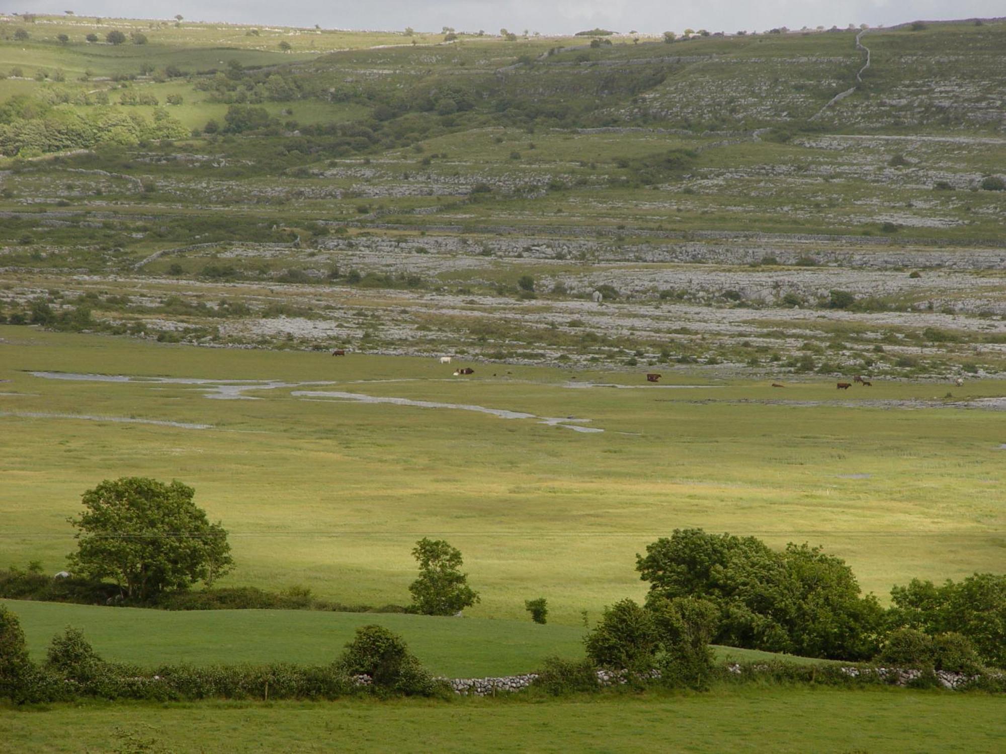 Clare'S Rock Self-Catering Accommodation Carron ภายนอก รูปภาพ