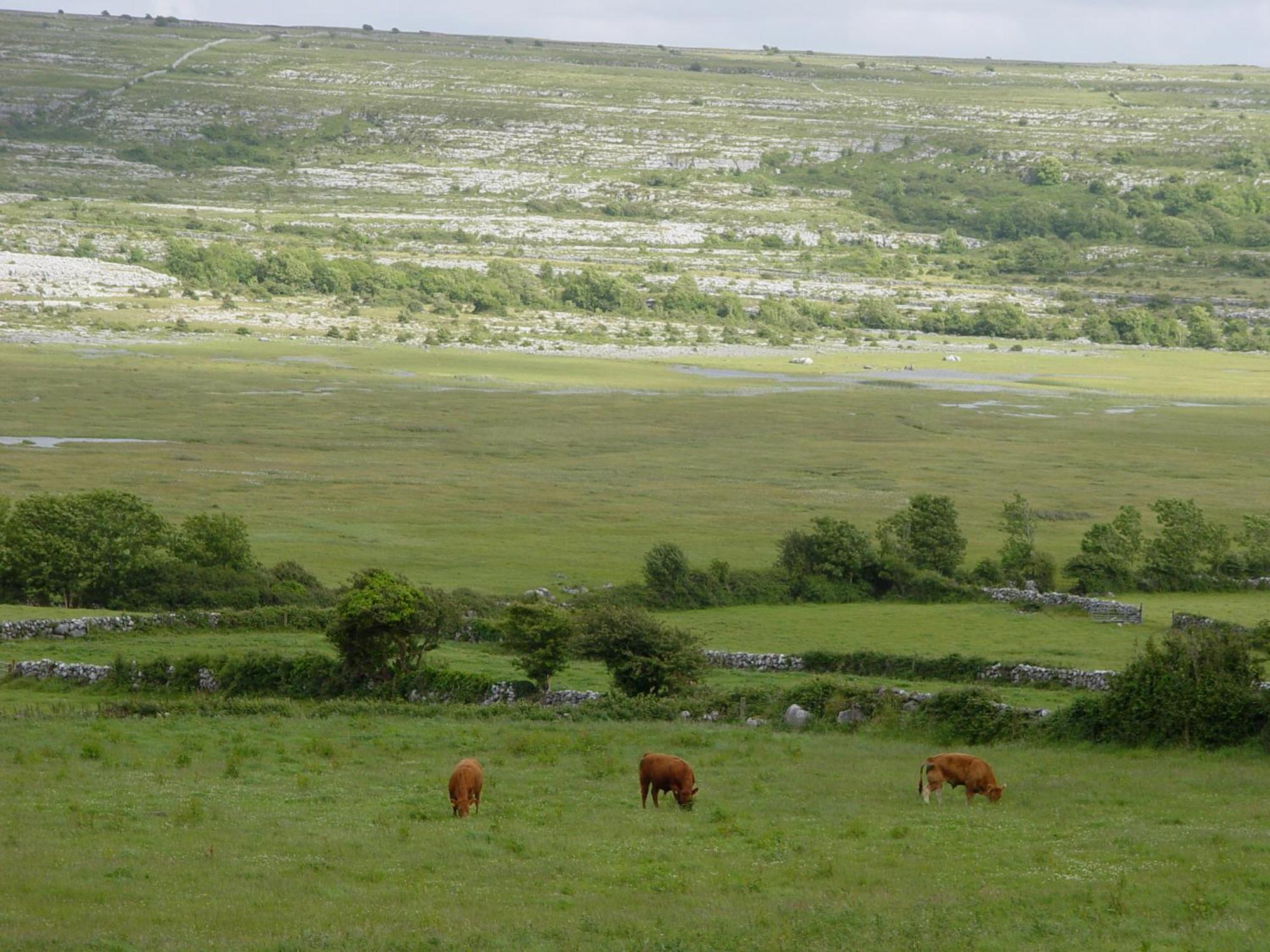Clare'S Rock Self-Catering Accommodation Carron ภายนอก รูปภาพ